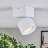 Narel Plafoniera, Faretto da soffitto LED Bianco, 1-Luce