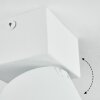 Narel Plafoniera, Faretto da soffitto LED Bianco, 1-Luce