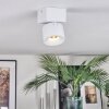 Narel Plafoniera, Faretto da soffitto LED Bianco, 1-Luce