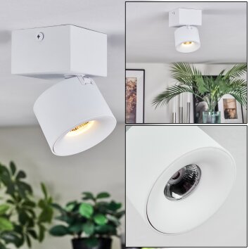 Narel Plafoniera, Faretto da soffitto LED Bianco, 1-Luce