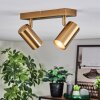 Javel Plafoniera, Faretto da soffitto Oro, 2-Luci