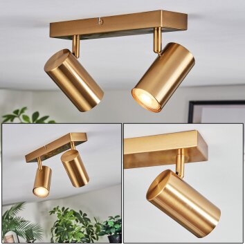 Javel Plafoniera, Faretto da soffitto Oro, 2-Luci