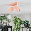 Javel Plafoniera, Faretto da soffitto Fucsia, Bianco, 2-Luci