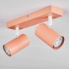 Javel Plafoniera, Faretto da soffitto Fucsia, Bianco, 2-Luci