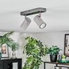Javel Plafoniera, Faretto da soffitto Cromo, Grigio, 2-Luci
