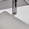 Javel Plafoniera, Faretto da soffitto Cromo, Grigio, 2-Luci