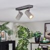 Javel Plafoniera, Faretto da soffitto Cromo, Grigio, 2-Luci