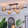 Chehalis Plafoniera, Lampada a sfera Ambrato, 5-Luci