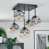 Ripoll Plafoniera, Lampada a sfera Chiaro, Grigio fumo, 5-Luci