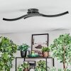 Arlan Plafoniera LED Nero, 1-Luce