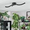 Arlan Plafoniera LED Nero, 1-Luce