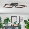 Binor Plafoniera LED Écru, Nero, 1-Luce