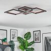Binor Plafoniera LED Écru, Nero, 1-Luce