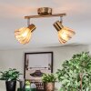 Saire Plafoniera, Faretto da soffitto Cromo, Ottone, 2-Luci