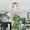 Saire Plafoniera, Faretto da soffitto Cromo, Ottone, 2-Luci