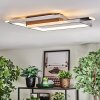 Olian Plafoniera LED Nero, Argento, 1-Luce