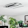Olian Plafoniera LED Nero, Argento, 1-Luce