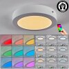 Omaro Plafoniera, Panel LED Bianco, 1-Luce, Cambia colore