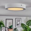 Omaro Plafoniera, Panel LED Bianco, 1-Luce, Cambia colore