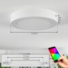 Omaro Plafoniera, Panel LED Bianco, 1-Luce, Cambia colore