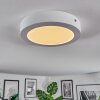 Omaro Plafoniera, Panel LED Bianco, 1-Luce, Cambia colore