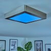 Omaro Plafoniera, Panel LED Nichel opaco, 1-Luce, Cambia colore