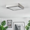 Omaro Plafoniera, Panel LED Nichel opaco, 1-Luce, Cambia colore