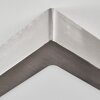 Omaro Plafoniera, Panel LED Nichel opaco, 1-Luce, Cambia colore