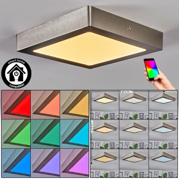 Omaro Plafoniera, Panel LED Nichel opaco, 1-Luce, Cambia colore