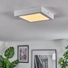 Omaro Plafoniera, Panel LED Bianco, 1-Luce, Cambia colore