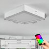 Omaro Plafoniera, Panel LED Bianco, 1-Luce, Cambia colore