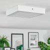 Omaro Plafoniera, Panel LED Bianco, 1-Luce, Cambia colore