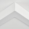 Omaro Plafoniera, Panel LED Bianco, 1-Luce, Cambia colore