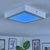 Omaro Plafoniera, Panel LED Bianco, 1-Luce, Cambia colore