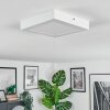 Omaro Plafoniera, Panel LED Bianco, 1-Luce, Cambia colore