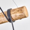 Koyoto Lampadario a sospensione, Lampada a sfera, Lampada a sospensione Écru, Nero, 5-Luci