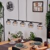 Koyoto Lampadario a sospensione, Lampada a sfera, Lampada a sospensione Cromo, Chiaro, Grigio fumo, 5-Luci