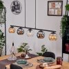 Koyoto Lampadario a sospensione, Lampada a sfera, Lampada a sospensione Ambrato, Cromo, Chiaro, Grigio fumo, 5-Luci