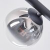Chehalis Plafoniera, Lampada a sfera Chiaro, Grigio fumo, 5-Luci
