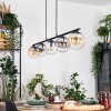 Gastor Lampadario a sospensione, Lampada a sfera, Lampada a sospensione Ambrato, Chiaro, Grigio fumo, 5-Luci