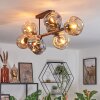 Ripoll Plafoniera, Lampada a sfera Ambrato, Grigio fumo, 8-Luci