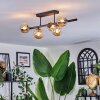Chehalis Plafoniera, Lampada a sfera Ambrato, 5-Luci