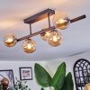 Chehalis Plafoniera, Lampada a sfera Ambrato, 5-Luci