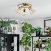 Saire Plafoniera, Faretto da soffitto Cromo, Ottone, 3-Luci
