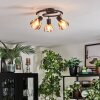 Saire Plafoniera, Faretto da soffitto Cromo, Nero, 3-Luci