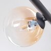 Chehalis Plafoniera, Lampada a sfera Ambrato, Chiaro, 5-Luci