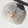 Ripoll Plafoniera, Lampada a sfera Ambrato, Chiaro, Grigio fumo, 5-Luci
