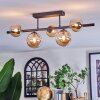 Chehalis Plafoniera, Lampada a sfera Ambrato, 5-Luci