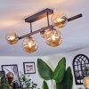 Chehalis Plafoniera, Lampada a sfera Ambrato, 5-Luci