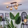 Chehalis Plafoniera, Lampada a sfera Ambrato, 5-Luci